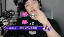 潜规则 网红黑料社,网红黑料社背后的真相与影响