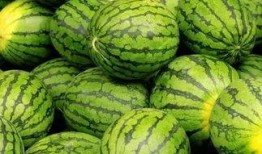 吃瓜网每日大赛 52每日大瓜视频,揭秘娱乐圈幕后风云，精彩视频盘点