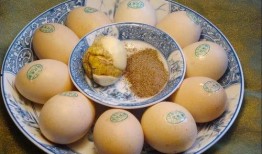 人 朝阳吃瓜51cg,51CG社区里的趣味生活点滴