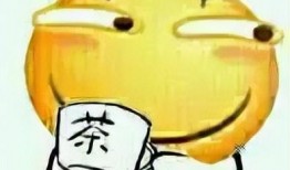 我真笨 qq瓜群,揭秘网络社交圈的趣味与智慧碰撞