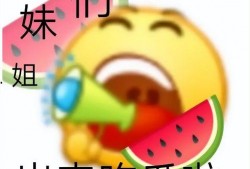 我真笨 qq瓜群,揭秘网络社交圈的趣味与智慧碰撞