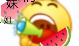 我真笨 qq瓜群,揭秘网络社交圈的趣味与智慧碰撞